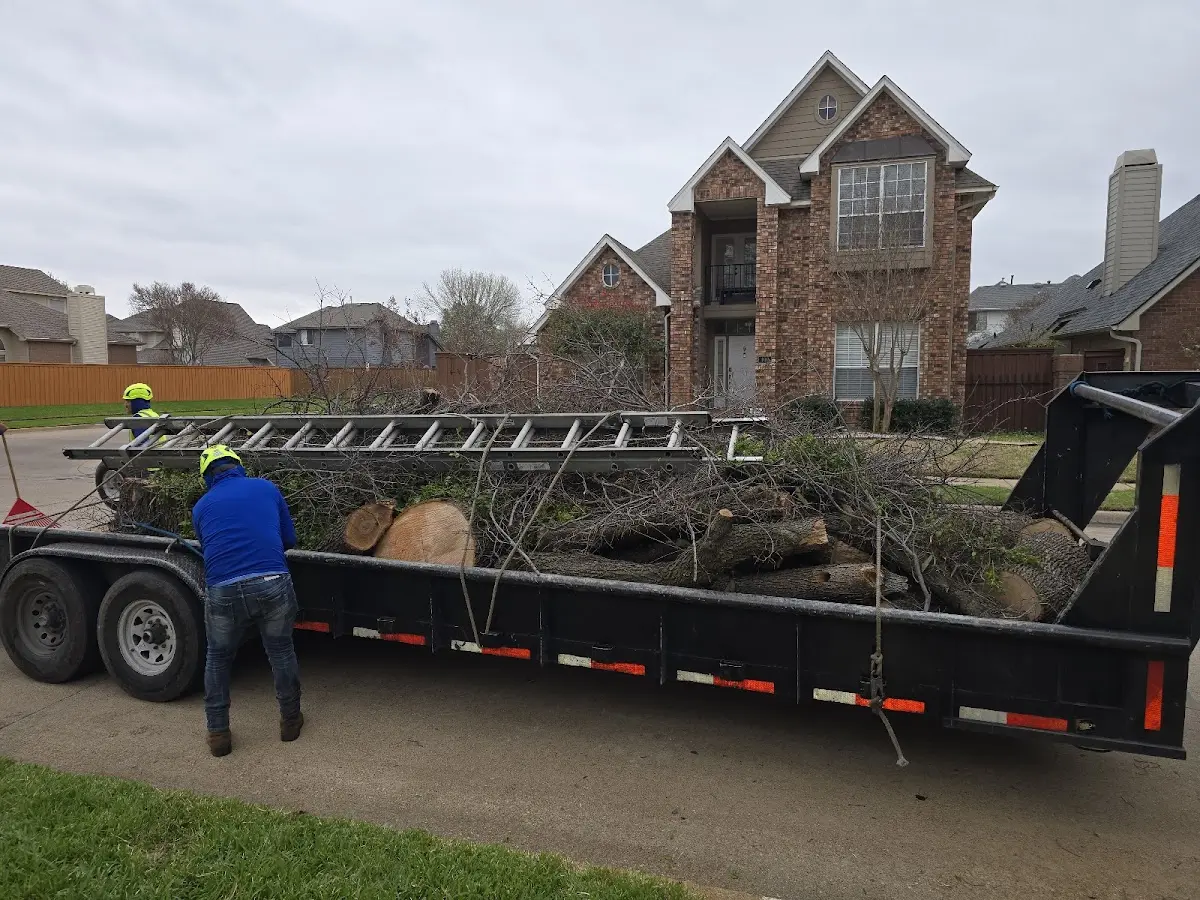 Expert Tree Pest Control with proper safety equipment in Doniphan